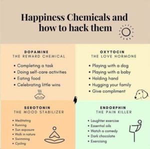 Happiness Chemicals and how to hack them